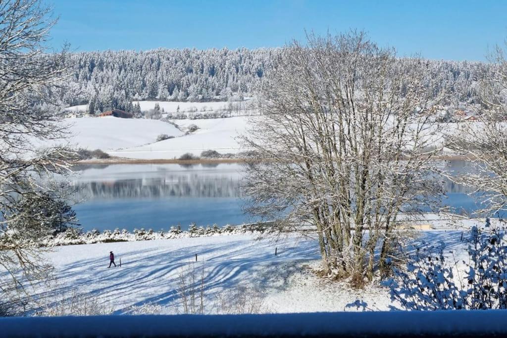 Duplex 6 Personnes, Vue Panoramique Sur Lac Malbuisson Buitenkant foto